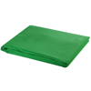 Picture of Backdrop 10 x 10 feet Chroma Key - Green