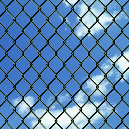 Picture of Chain Fence 4' 1" x 49' 2" Green