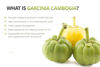Picture of Weight Loss Fat Burner Garcinia Cambogia