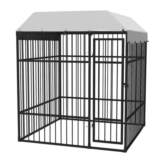 6x6 kennel