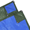 Picture of PE Tarp Tarpaulin Cover Sheet 32' 8" x 4' 11" - Green/Blue