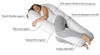 Picture of U Shape Body Pillow Pregnancy Comfort Support Cushion