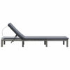 Picture of Outdoor Lounger