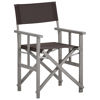 Picture of Folding Director's Chair