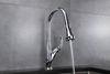 Picture of Kitchen Faucet with Pull Out Sprayer - Chrome