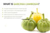 Picture of Fat Burner Weight Loss Garcinia Cambogia 3000 mg - 2 Bottles