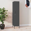 Picture of Steel Locker 14" - Ant