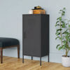 Picture of Steel Storage Cabinet 16" - Ant