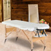 Picture of Portable Massage Table with Case