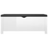 Picture of Storage Box Ottoman 41" EW High Gloss - White