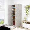 Picture of 31" Shoe Cabinet EW - Gray