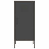 Picture of Steel Storage Cabinet 16" - Ant
