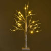 Picture of 2' Christmas Decor Pre-Lit Birch Tree